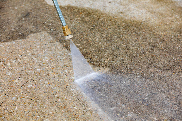 Animal Enclosure Cleaning in Monument Hills, CA